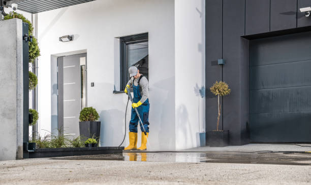 Boat and Dock Cleaning in Holly Hill, FL